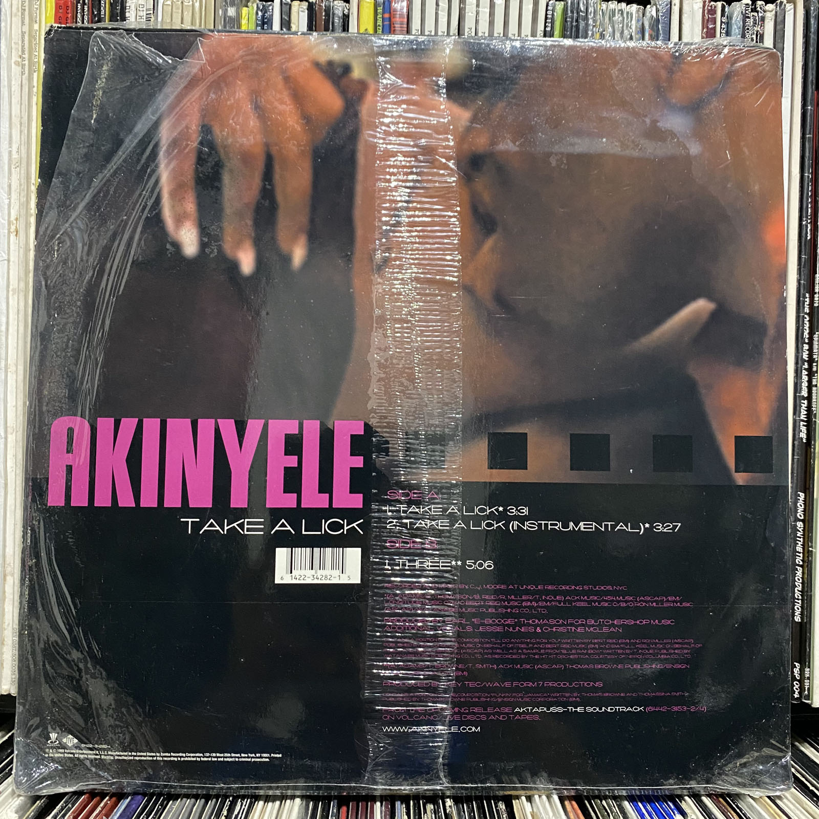akinyele11b.JPEG