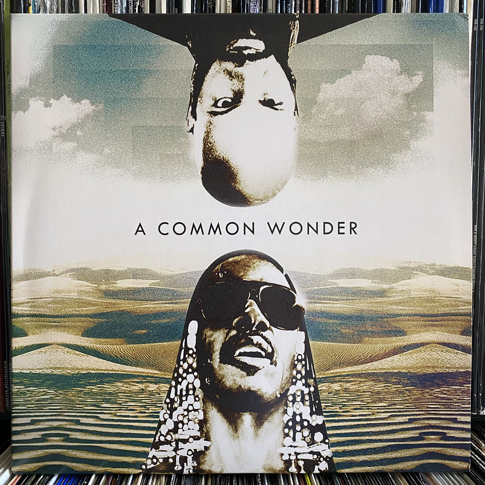 AMERIGO GAZAWAY - A COMMON WONDER (VINYL 2LP) 2017 RARE!! STEVIE +