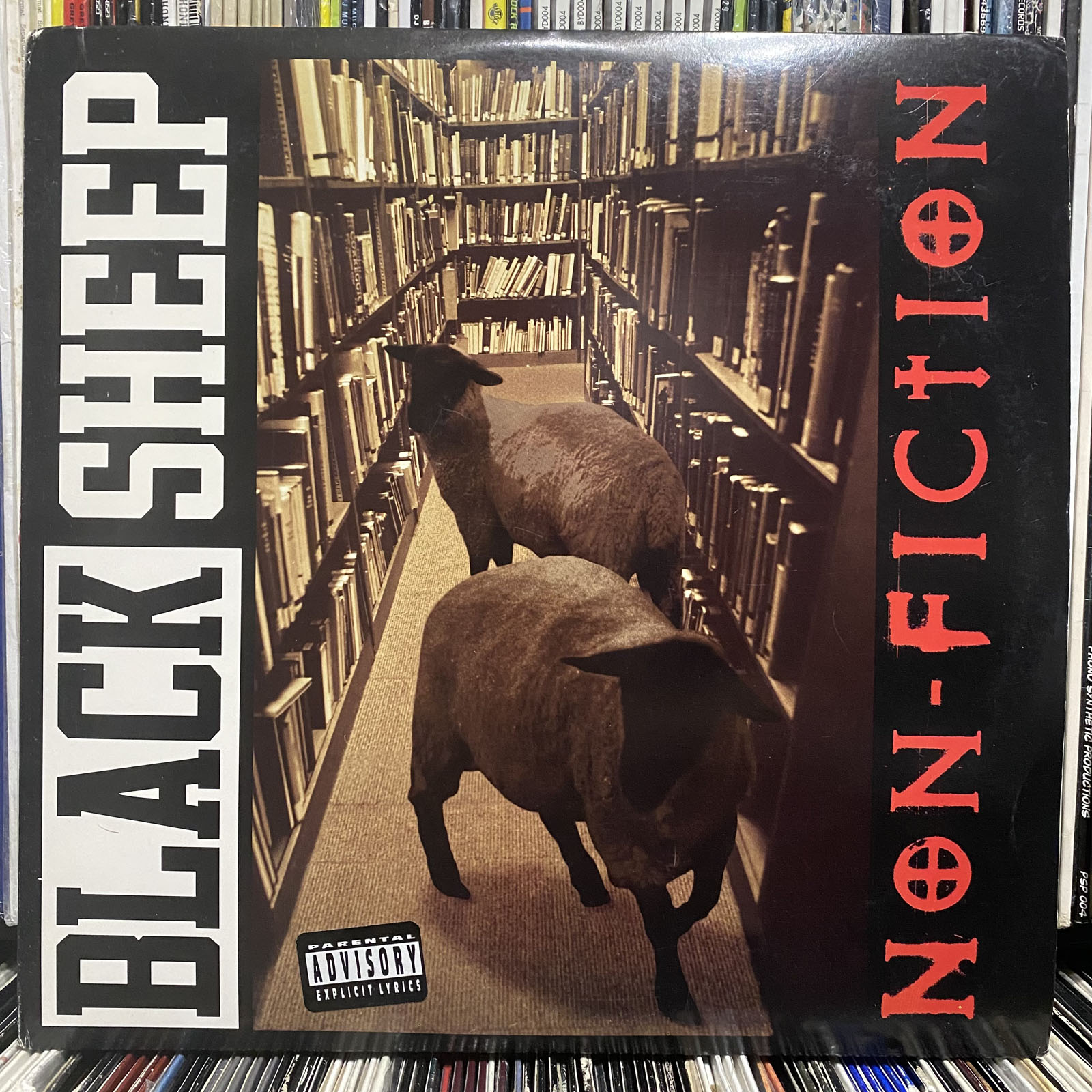 blacksheep02a.JPEG
