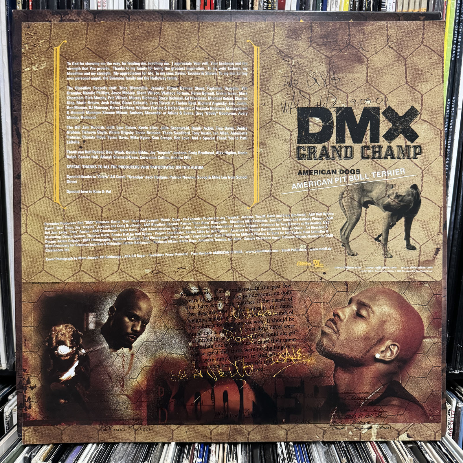 DMX – And Then There Was X – 2 x Vinyl (LP, Album, Stereo