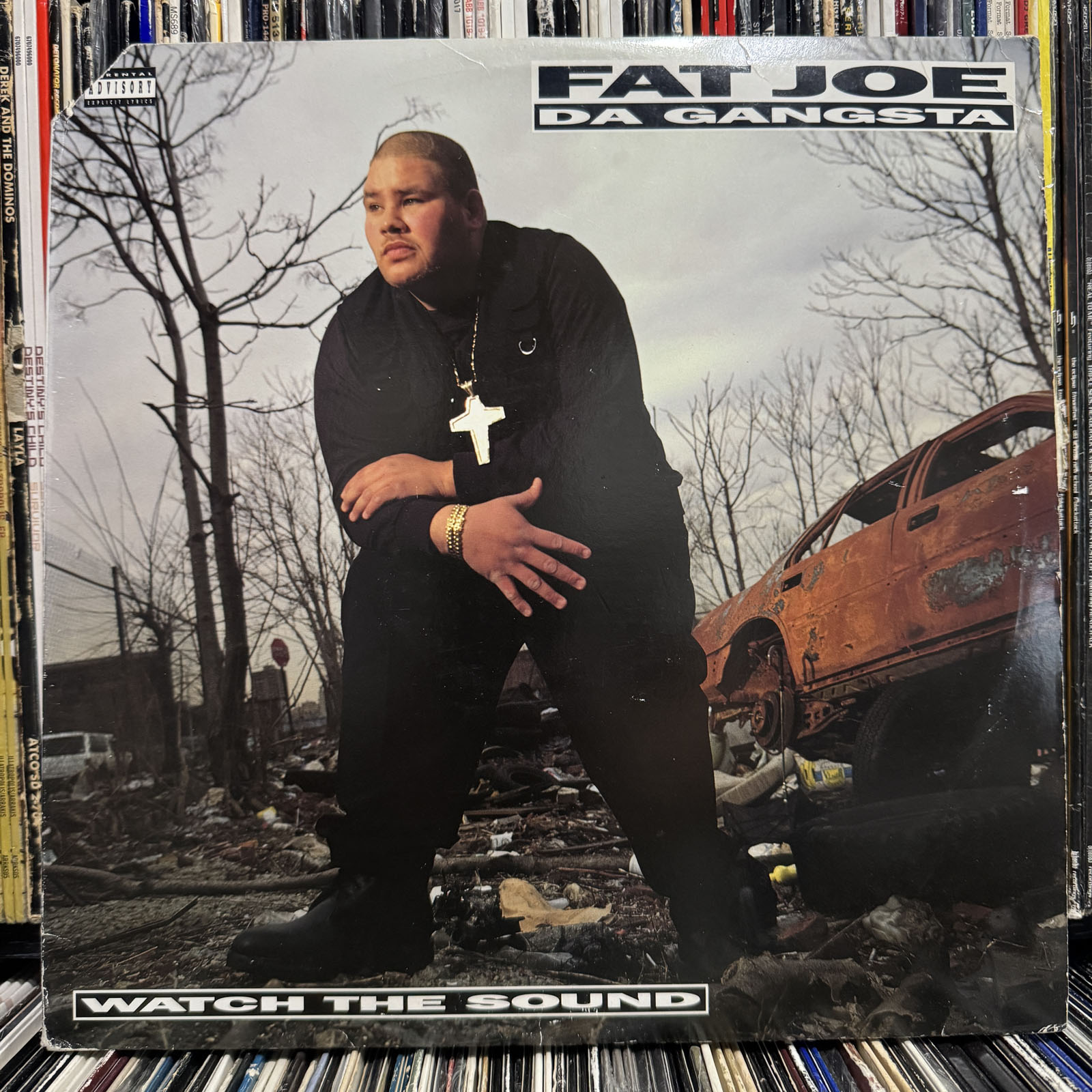 fatjoe19a.JPG