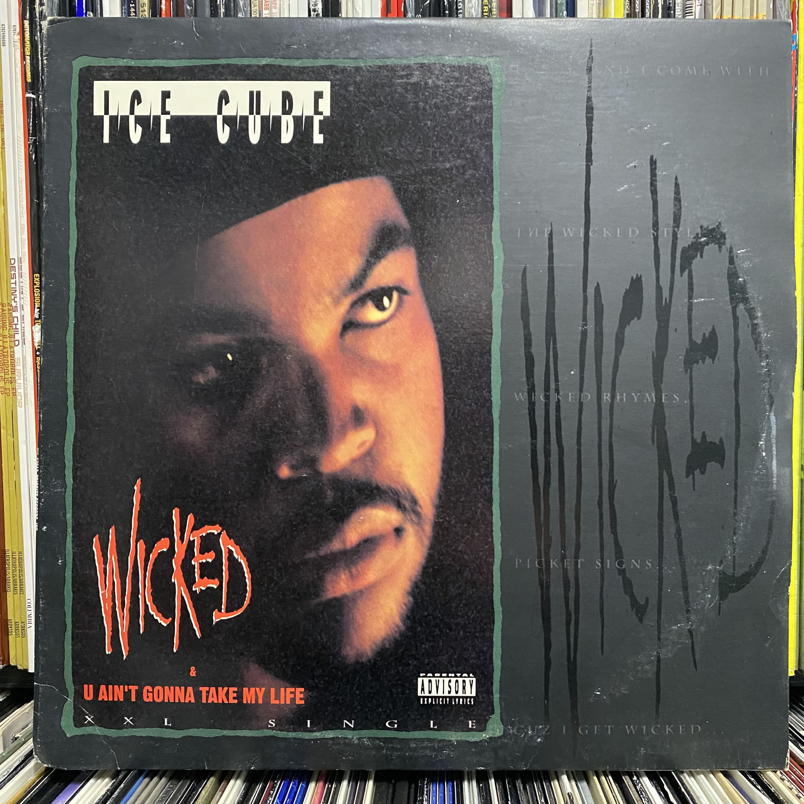 icecube12a.JPEG