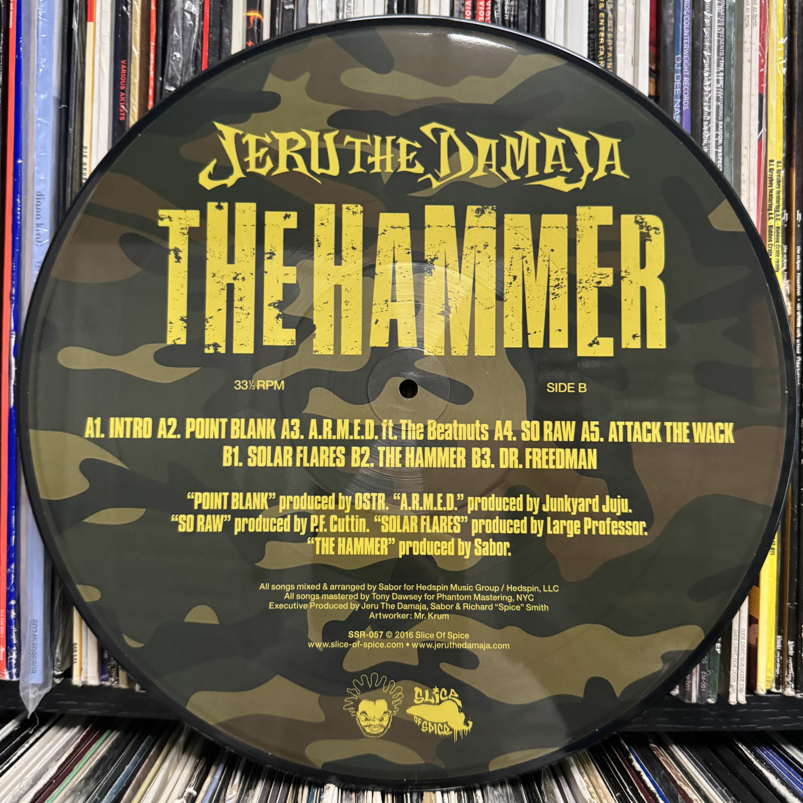 jeruthedamaja24c.JPG