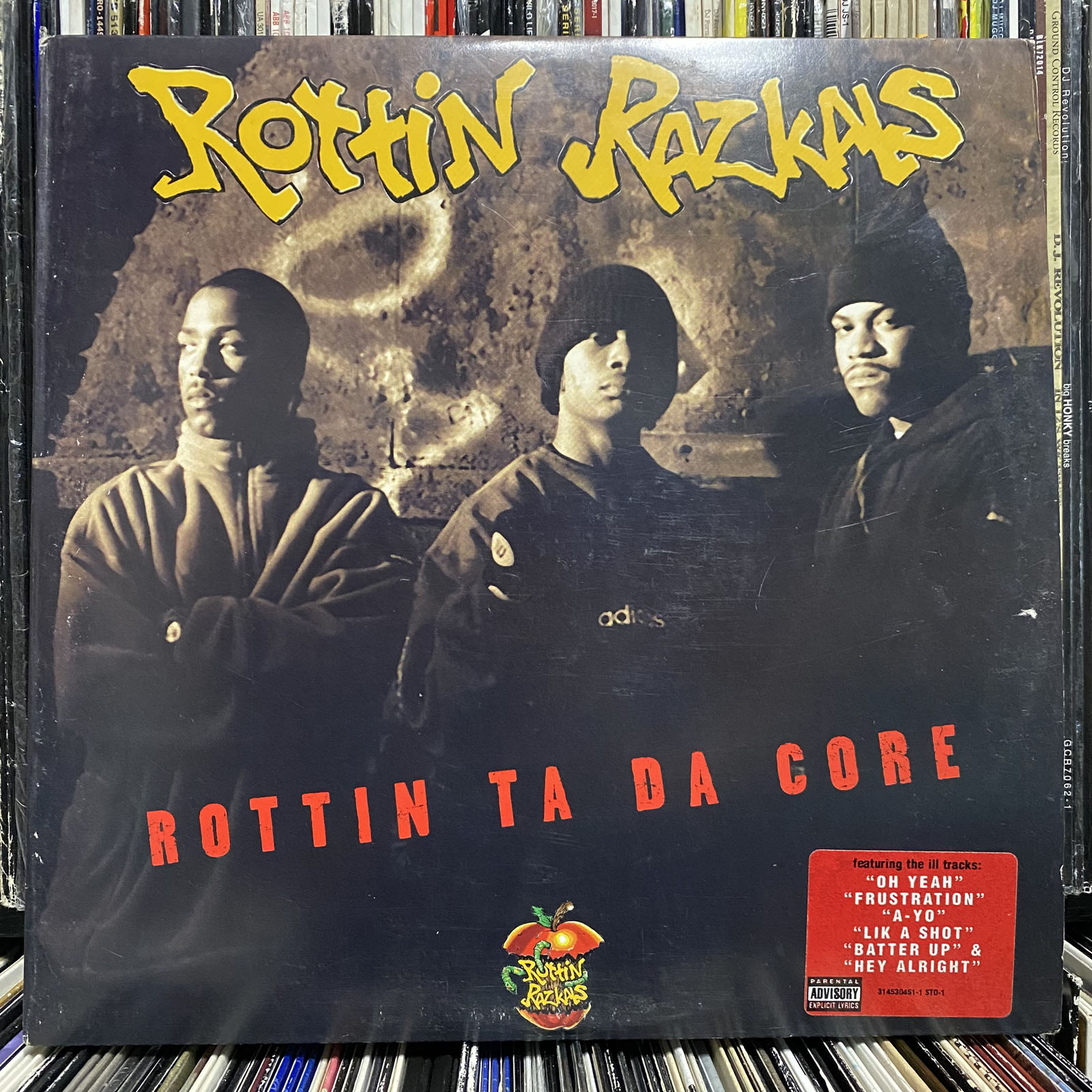 ROTTIN RAZKALS - ROTTIN TA DA CORE (VINYL LP) 1995!! RARE