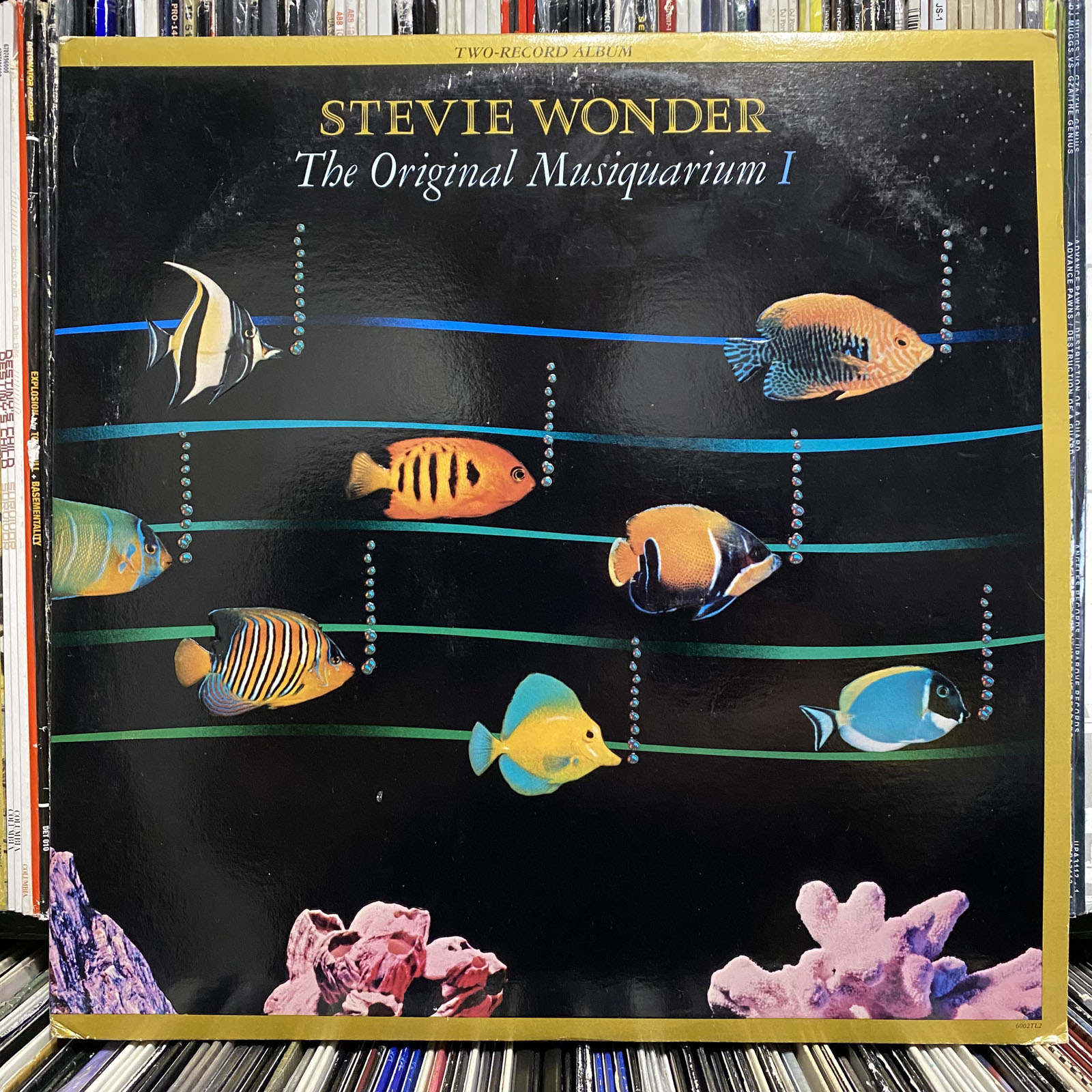 Stevie Wonder 旧規格　未開封　新品 steviewonder04a.JPEG