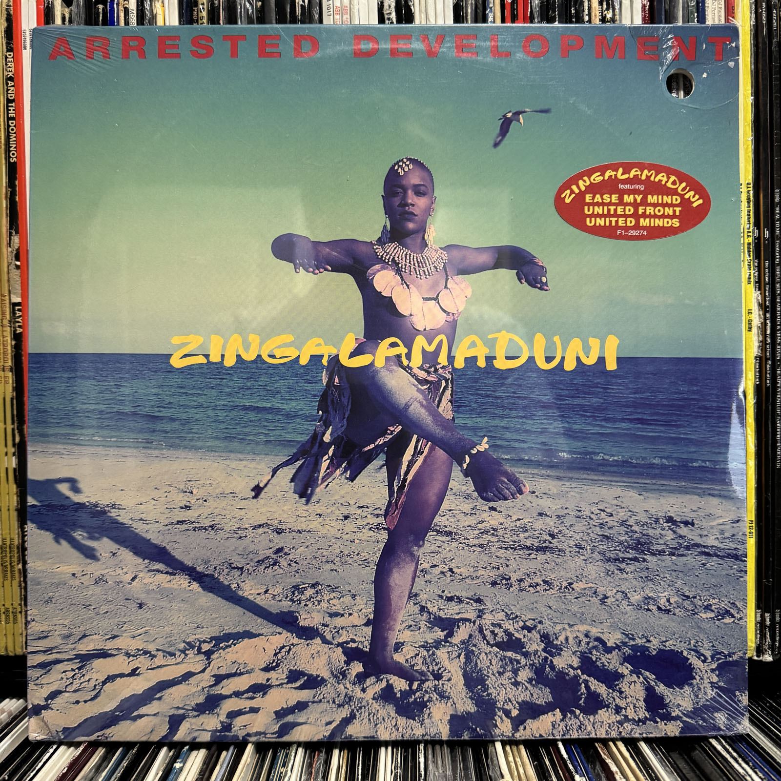 ARRESTED DEVELOPMENT ZINGALAMADUNI 2LP 【公式通販】
