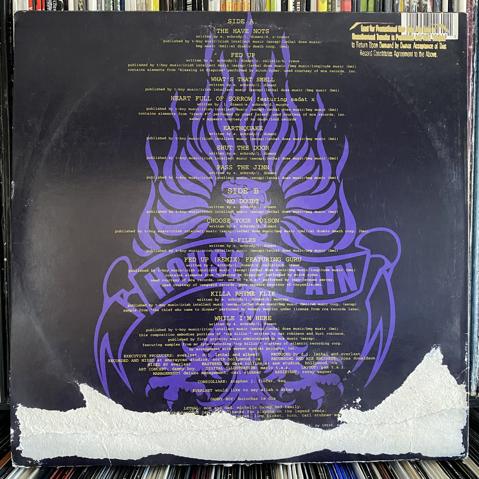 HOUSE OF PAIN - TRUTH CRUSHED TO EARTH SHALL RISE AGAIN (VINYL LP